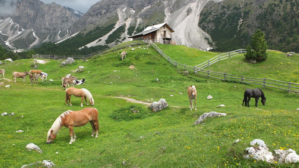 Garni Le Chalet Santa Cristina Val Gardena ภายนอก รูปภาพ