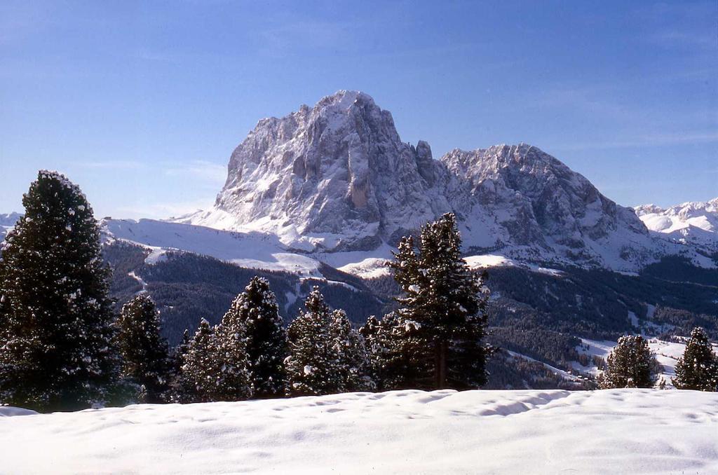 Garni Le Chalet Santa Cristina Val Gardena ภายนอก รูปภาพ