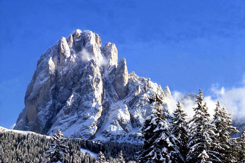 Garni Le Chalet Santa Cristina Val Gardena ภายนอก รูปภาพ