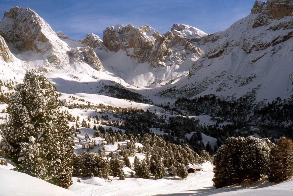 Garni Le Chalet Santa Cristina Val Gardena ภายนอก รูปภาพ