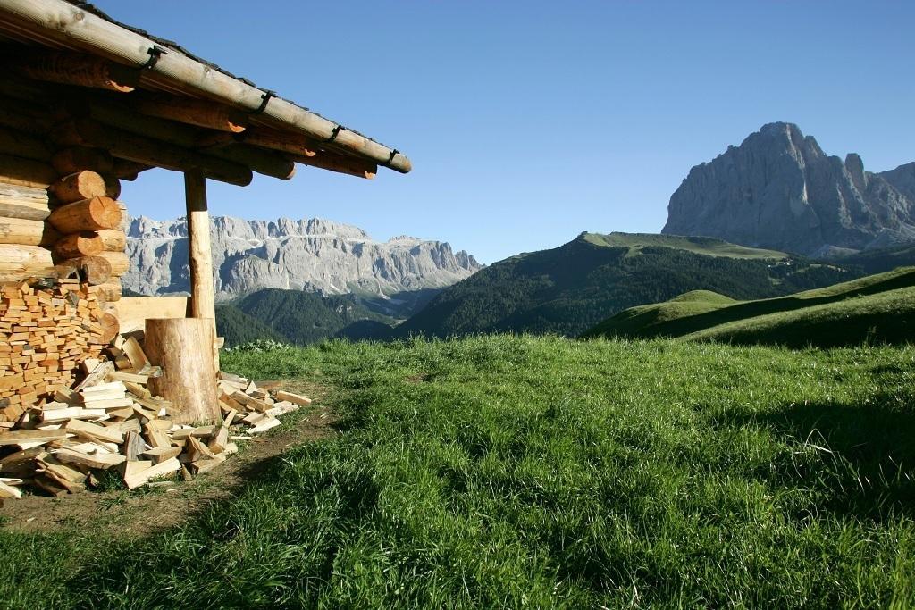 Garni Le Chalet Santa Cristina Val Gardena ภายนอก รูปภาพ